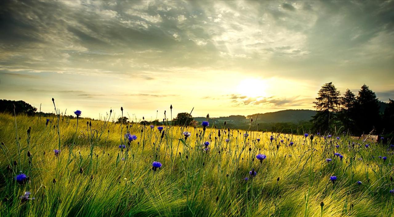 Wohlfuehlherberge Weitblick Erlbach  Buitenkant foto